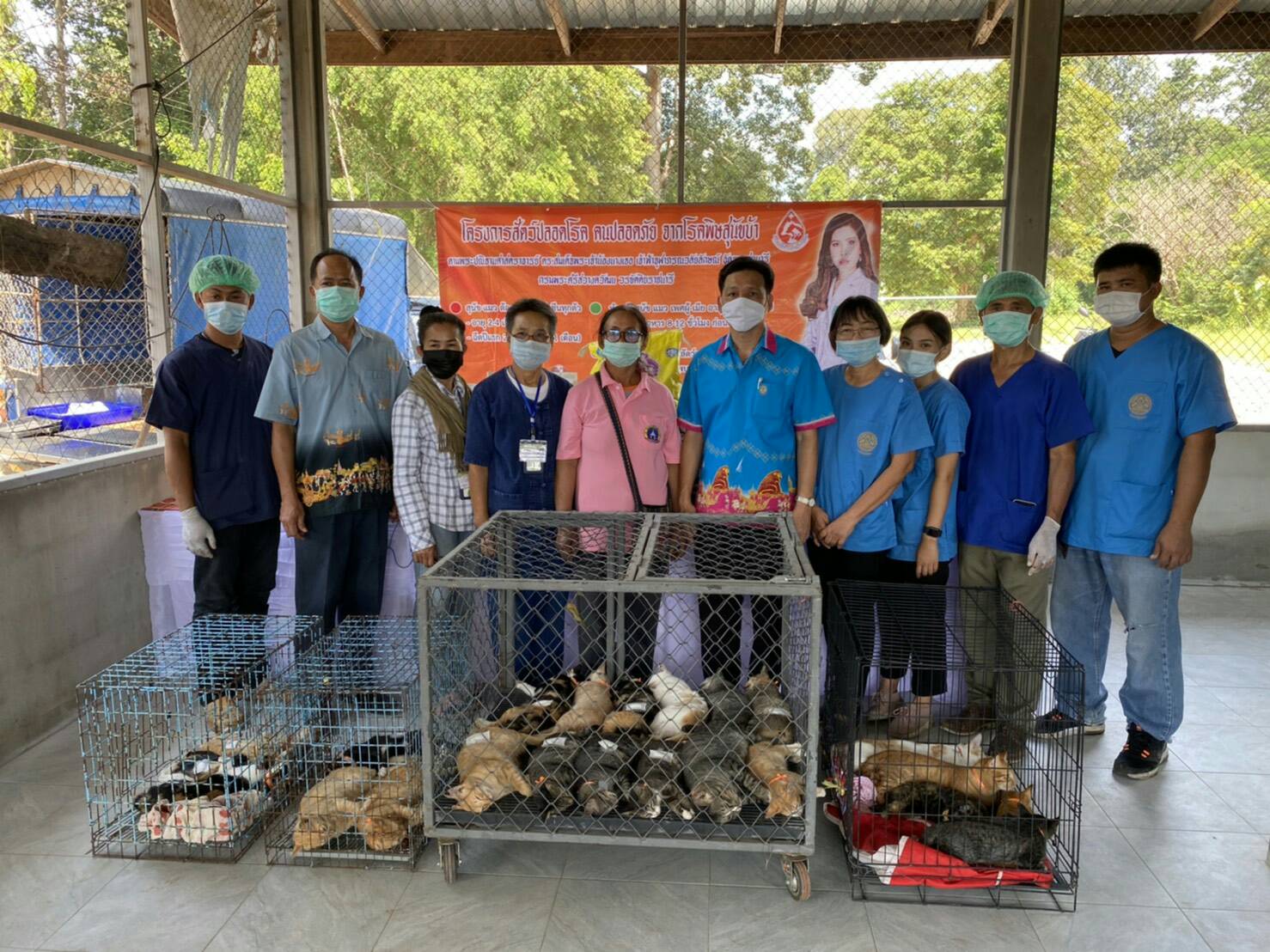 ปศุสัตว์จังหวัดยโสธรบูรณาการร่วมองค์กรการกุศลในการดูแลสัตว์ด้อยโอกาสทำหมันและฉีดวัคซีนป้องกันโรคพิษสุนัขบ้า