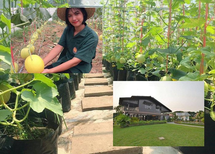 อาชีวะเกษตรบุรีรัมย์ Farmstay  จุดเช็คอินแห่งใหม่จ.บุรีรัมย์
