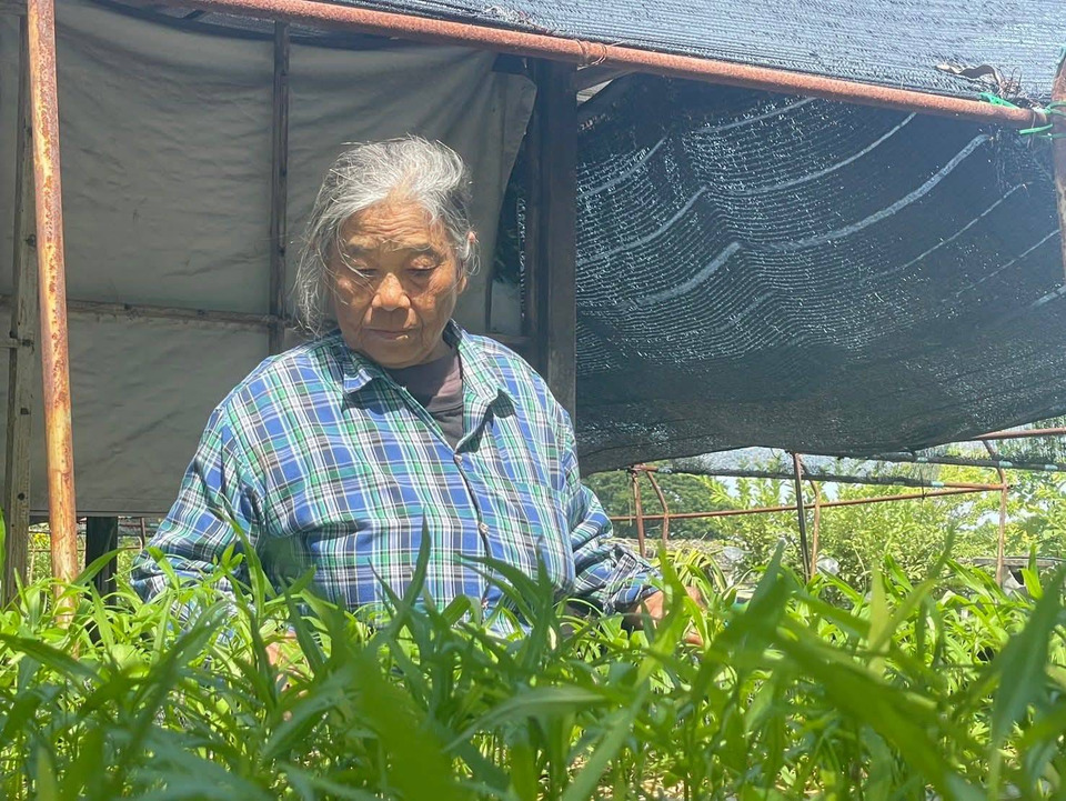 "ลำเพย" ชาวอ่างทอง เผย เพราะมี ‘สมเด็จพระพันปีหลวง’ ทำให้ฉันมีงานทำ