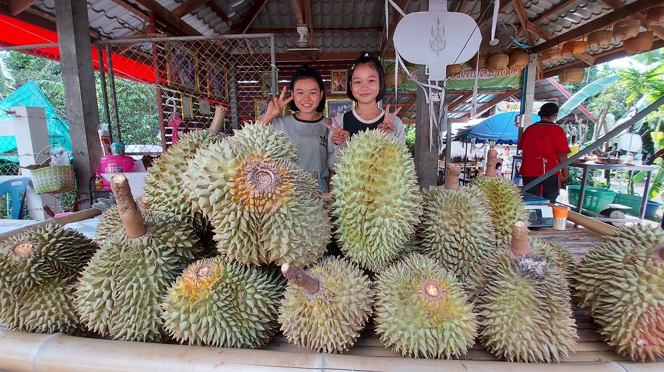 เที่ยวเมืองรองอีสานใต้ ‘ศรีสะเกษ’ ชวนชิมทุเรียนภูเขาไฟ แบบ New Normal 