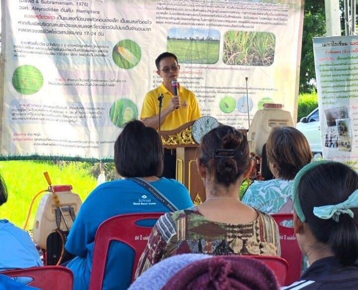 เกษตรอำเภอจัดงานรณรงค์ฉีดพ่นสารชีวภัณฑ์เพื่อป้องกันกำจัดแมลงหวี่ขาวข้าวในพื้นที่อำเภอโพธิ์ทอง