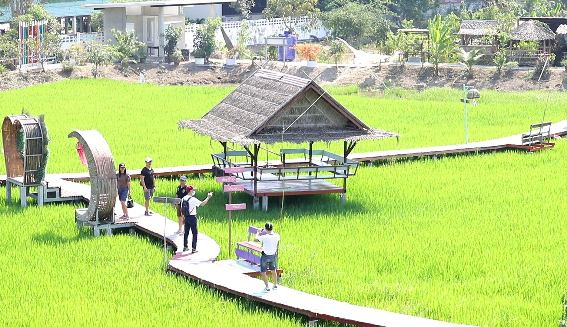 "บวร On Tour" วธ.ปทุมธานี ชวนสัมผัสชุมชนคุณธรรมตามรอยพระราชา "ทุ่งนามอญ" เติมเสน่ห์เรียบง่ายให้กับชีวิต