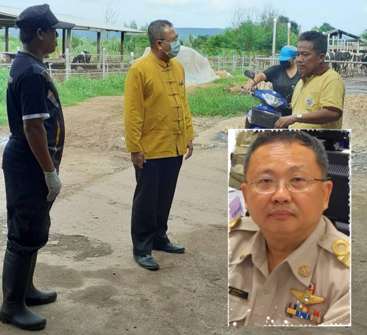 “ปศุสัตว์ลพบุรี รวมพลัง เร่งฉีดวัคซีนปากและเท้าเปื่อยให้โคนมฟรีทั้งจังหวัด”
