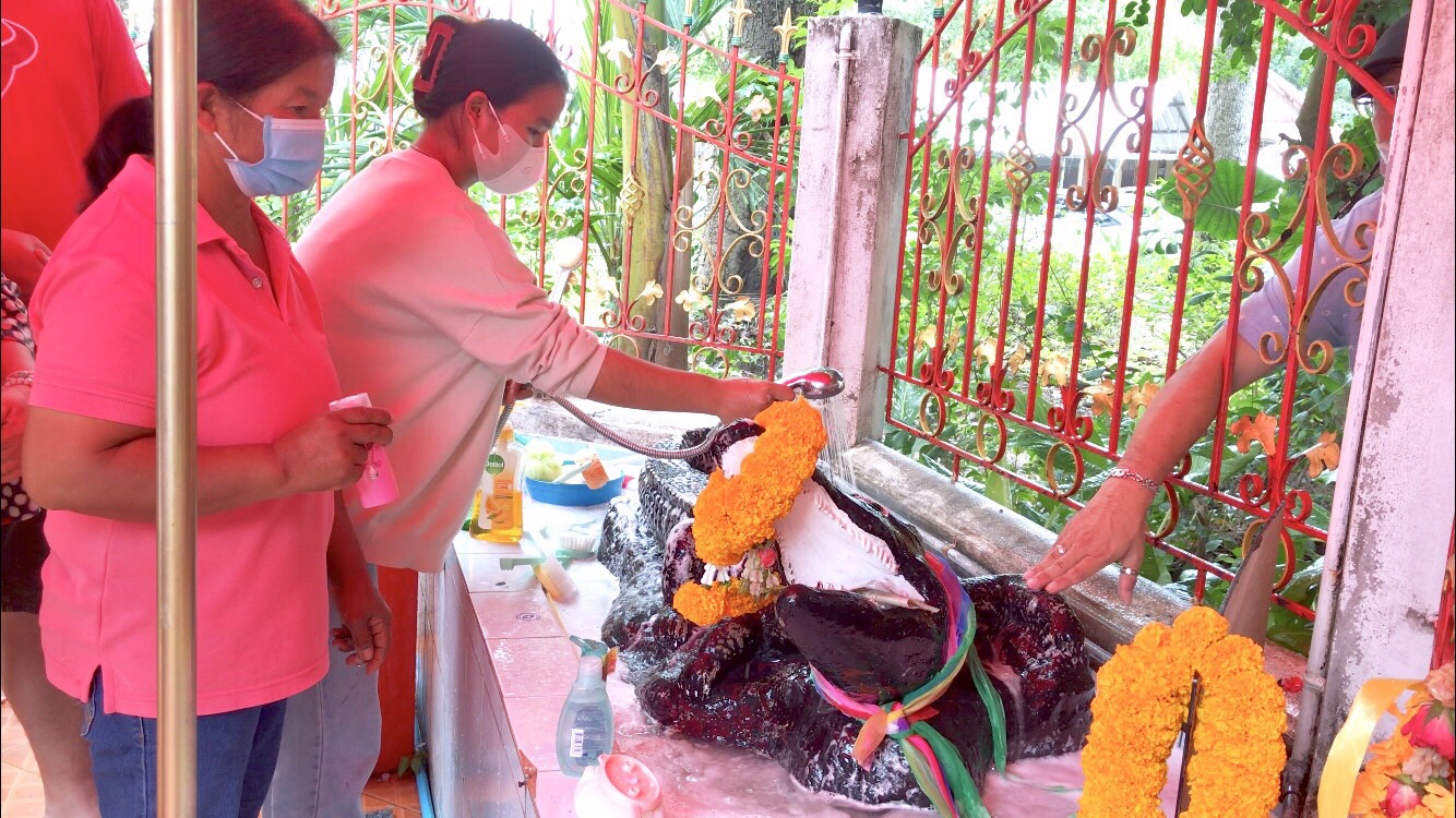 สายมูแน่นวัดลำบัวลอยแห่อาบน้ำจระเข้โทนตามกระแสติ๊กต๊อก'หมอบี'เชื่อเรื่องความสำเร็จ