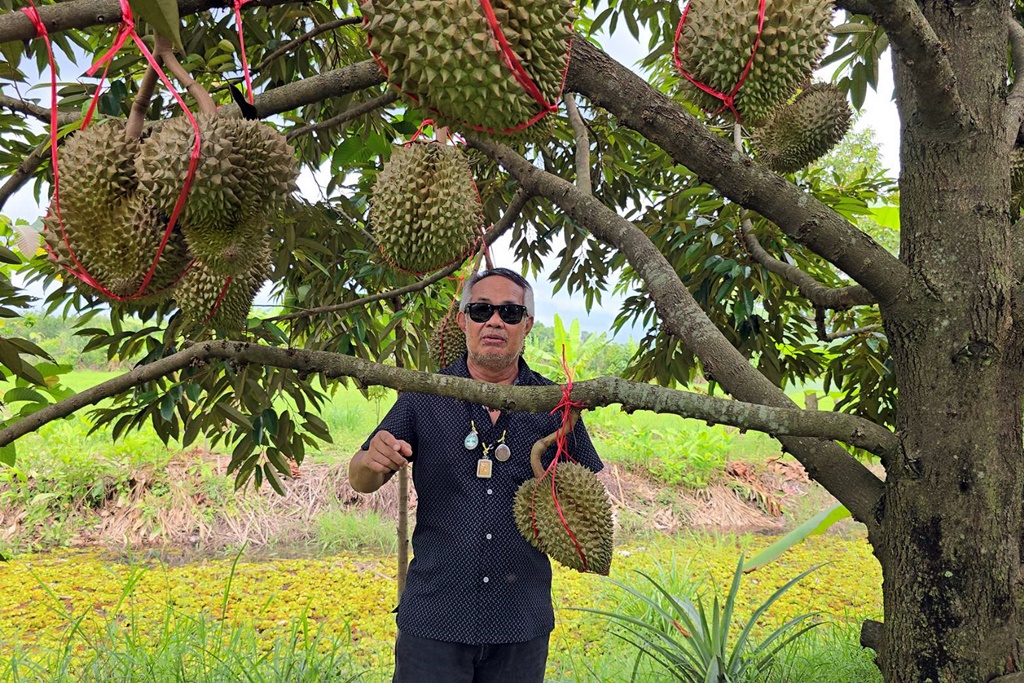 สุดดีชีวิตหลังเกษียณ!! เปลี่ยนแนวคิดปลูกทุเรียน แทนการทำนา