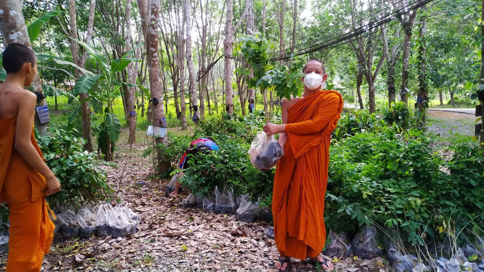 ชาวน่านร่วมสร้างพื้นที่สีเขียวในโครงการปลูกป่าตามรอยพ่อปี 3 
