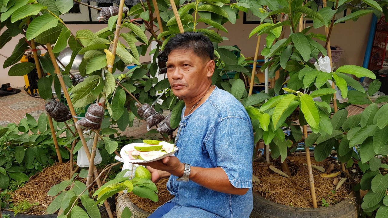 ธกส.ร่วมกับบริษัทประชารัฐแก้ปัญหาคนตกงานจากโคหวิด19 กลับบ้านเกิดส่งเสริมให้ทำเกษตรพอเพียง