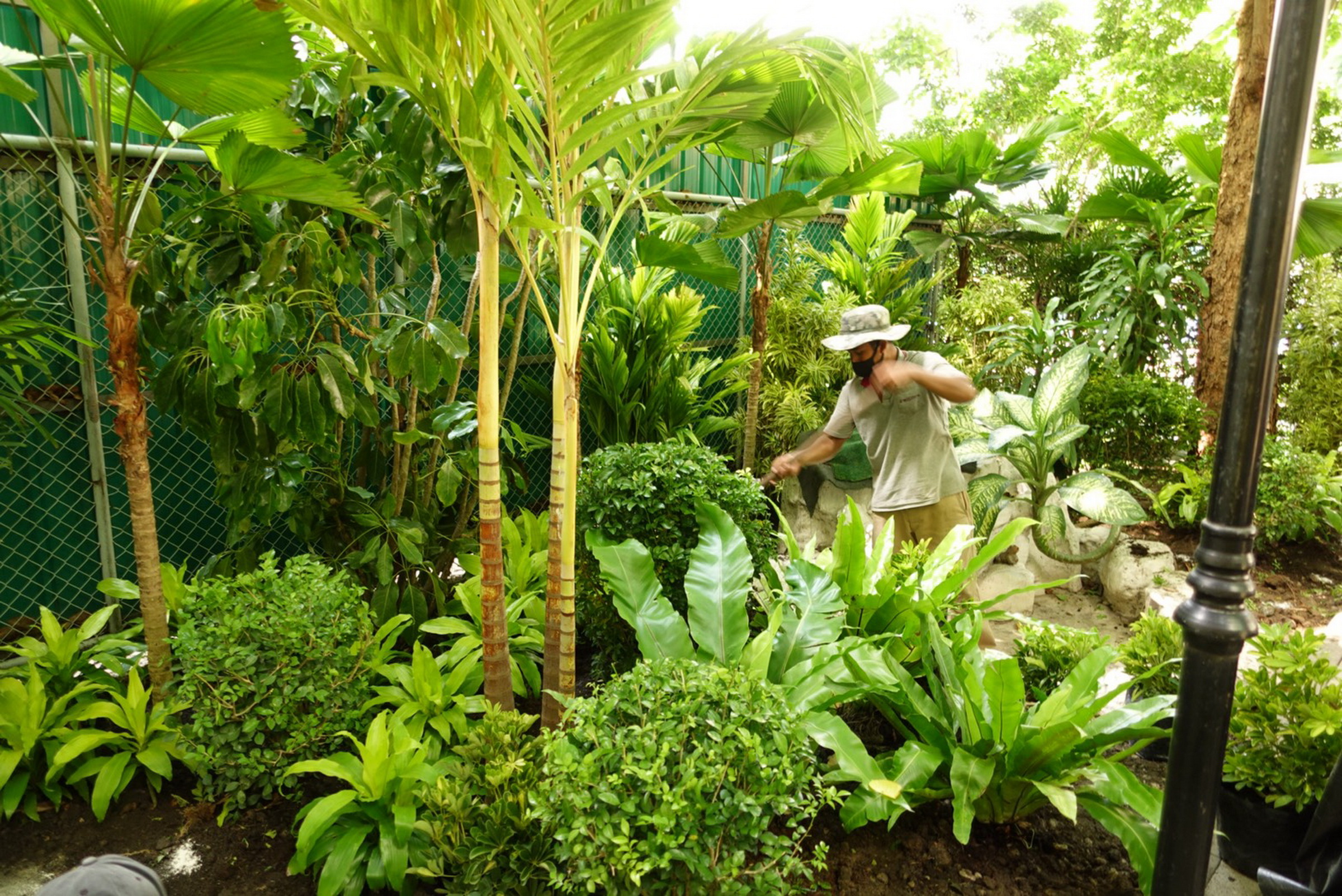 สวนนงนุชพัทยา เนรมิตสวนมิตรภาพ ไทย-รัสเซีย สร้าง Friendship Garden สัญลักษณ์มิตรประเทศที่ยาวนาน 
