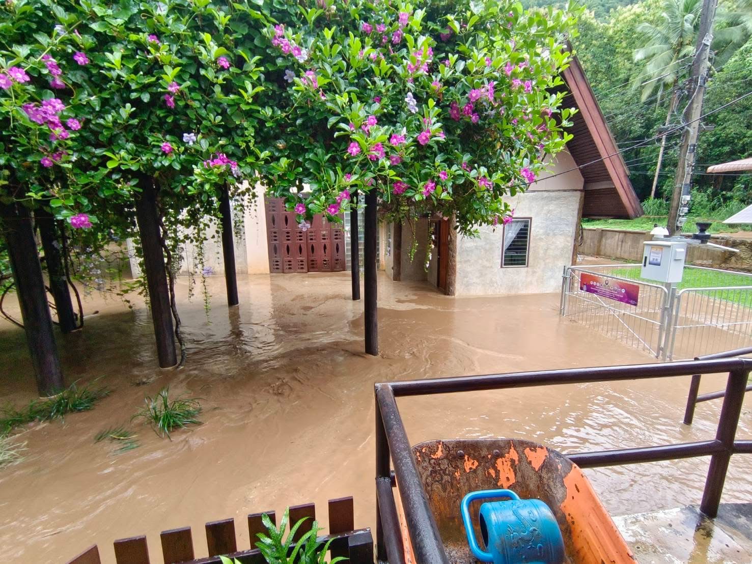 อุทยานถ้ำปลา-น้ำตกผาเสื่อ ประกาศปิดท่องเที่ยวถ้ำปลาชั่วคราว