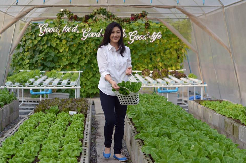 “ยิ่งลักษณ์”โพสต์เฟซบุ๊ค ชวนปชช.ใส่ใจรักษ์ธรรมชาติ เนื่องใน"วันสิ่งแวดล้อมโลก"