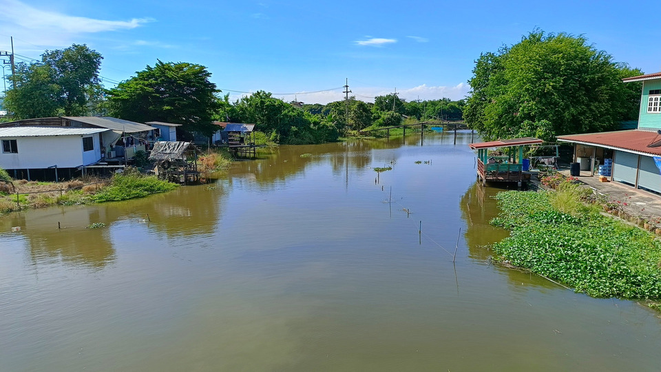 ปลาหมอคางดำยึดคลองบางปะกง! ชาวบ้านเดือดร้อนหนัก ขาดรายได้ วอนรัฐบาลช่วย