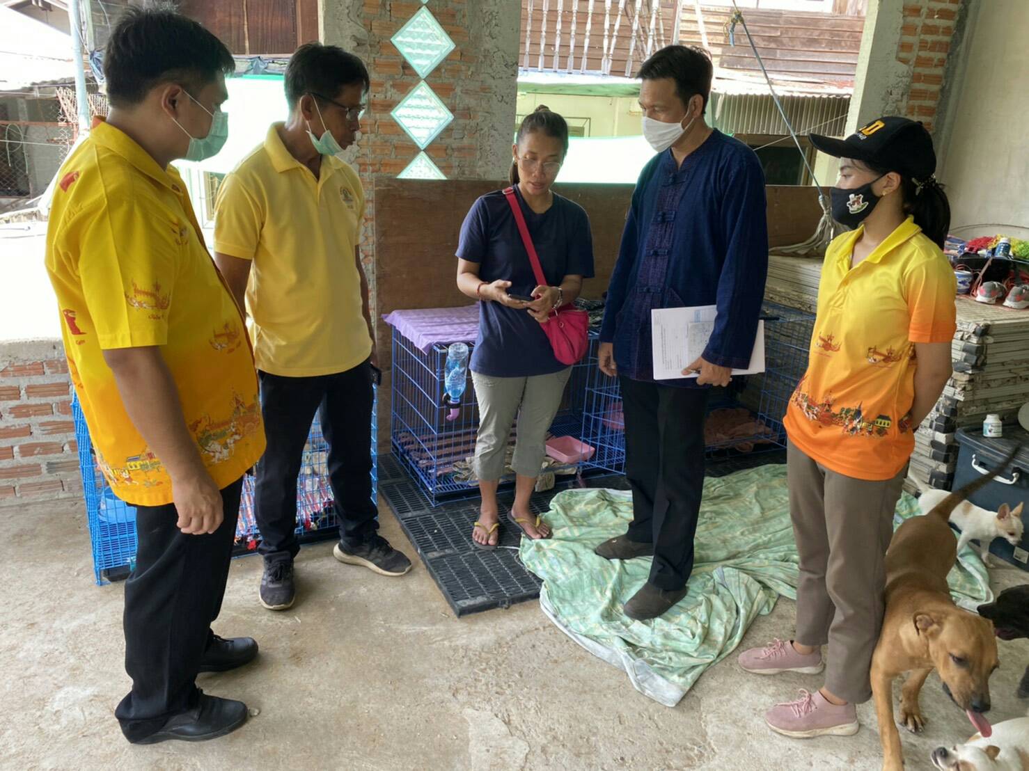 ปศุสัตว์ยโสธรลงพื้นที่ตรวจคอกสุนัขที่เพาะพันธ์จำหน่ายและแนะนำส่งเสริมสวัสดิภาพสัตว์