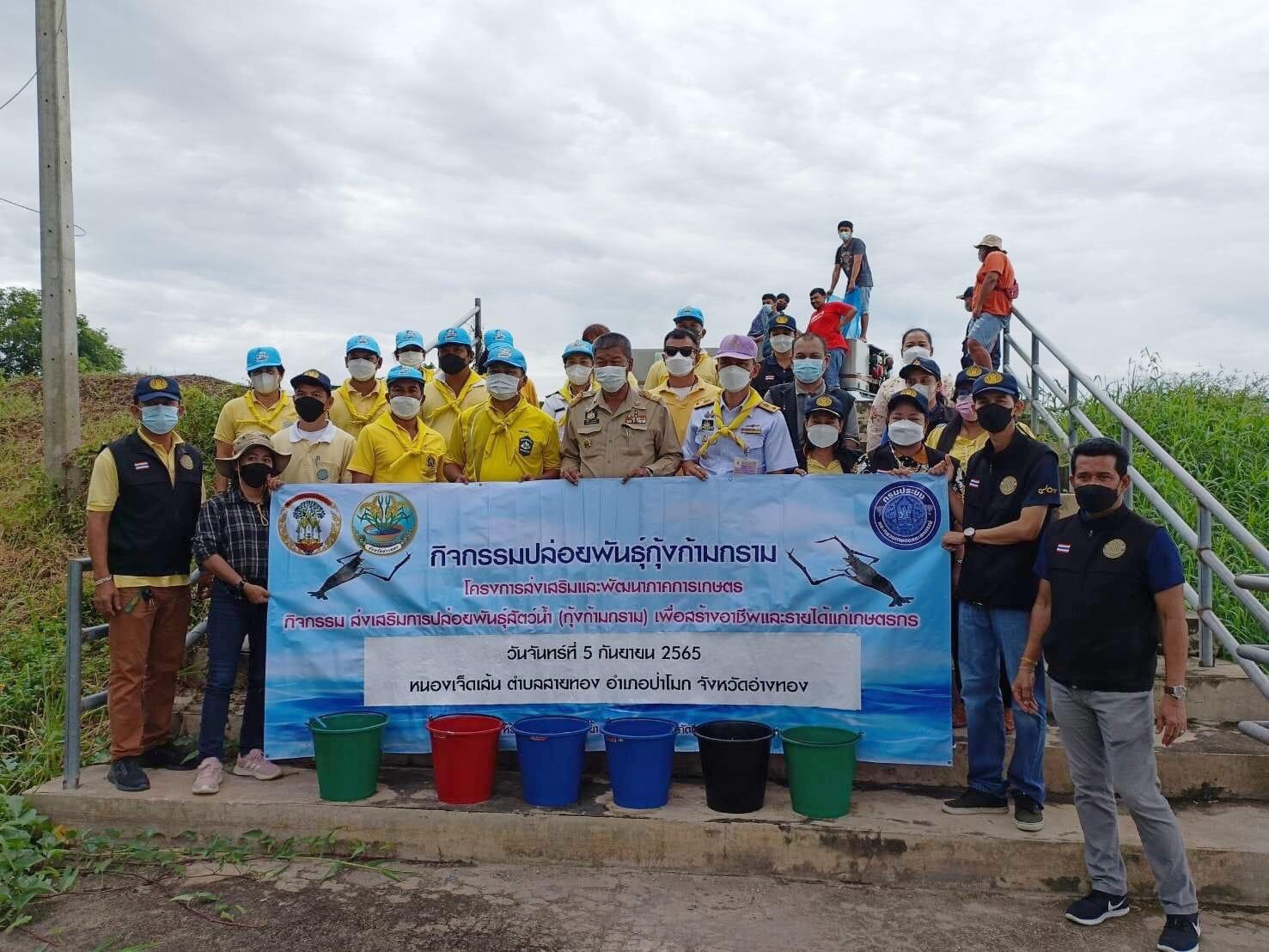 ประมงอ่างทอง ปล่อยพันธุ์กุ้งก้ามกราม จำนวน 500,000 ตัว 