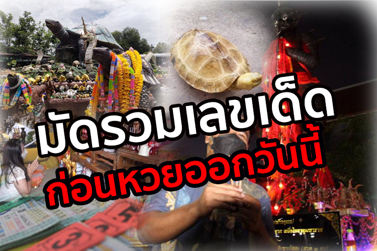มัดรวมเลขเด็ดก่อนหวยออกวันนี้