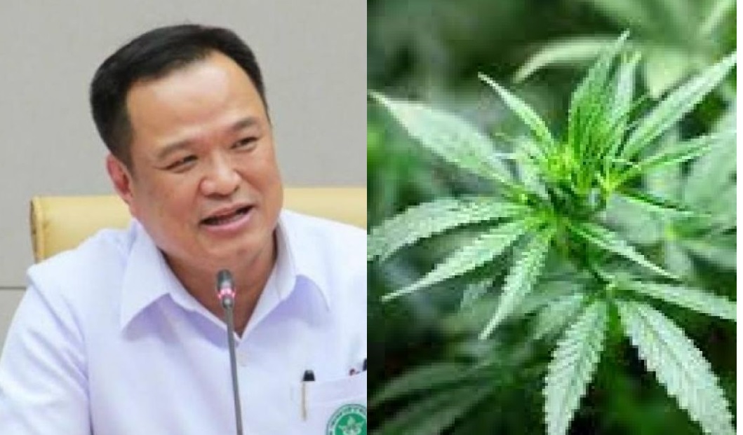 'อนุทิน'ปัดไม่มีส่วนเกี่ยวข้องบริษัทซิโน-ไทย แจงเป็นของน้องชายทำธุรกิจกัญชงแต่เลิกทำแล้ว
