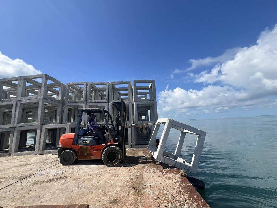 เกาะสีชัง ฟื้นคืนความสมบูรณ์ทางทะเล หลังสร้างปะการังเทียมคอนกรีตเสริมเหล็ก สัตว์น้ำศก.-วาฬบรูด้า กลับคืนพื้นที่