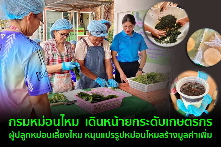 กรมหม่อนไหม เดินหน้ายกระดับเกษตรกรผู้ปลูกหม่อนเลี้ยงไหม หนุนแปรรูปสร้างมูลค่าเพิ่มสู่ตลาดยุคดิจิทัล