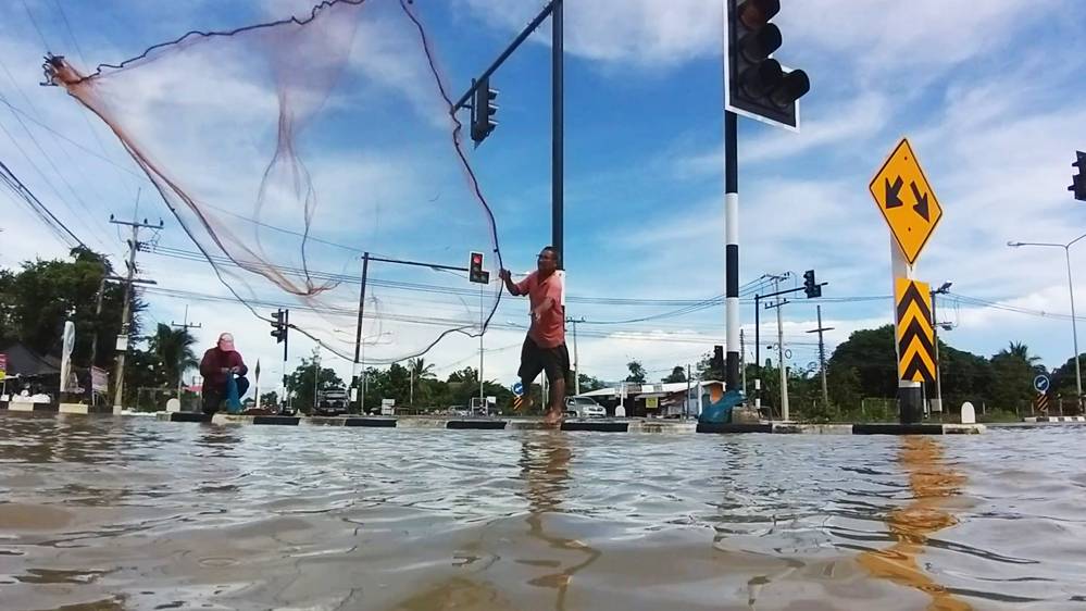  น้ำป่าไหลหลากท่วมขัง ลุงควงแหจับปลากลางสี่แยกไฟแดงดอนโก ศรีสำโรง สุโขทัย
