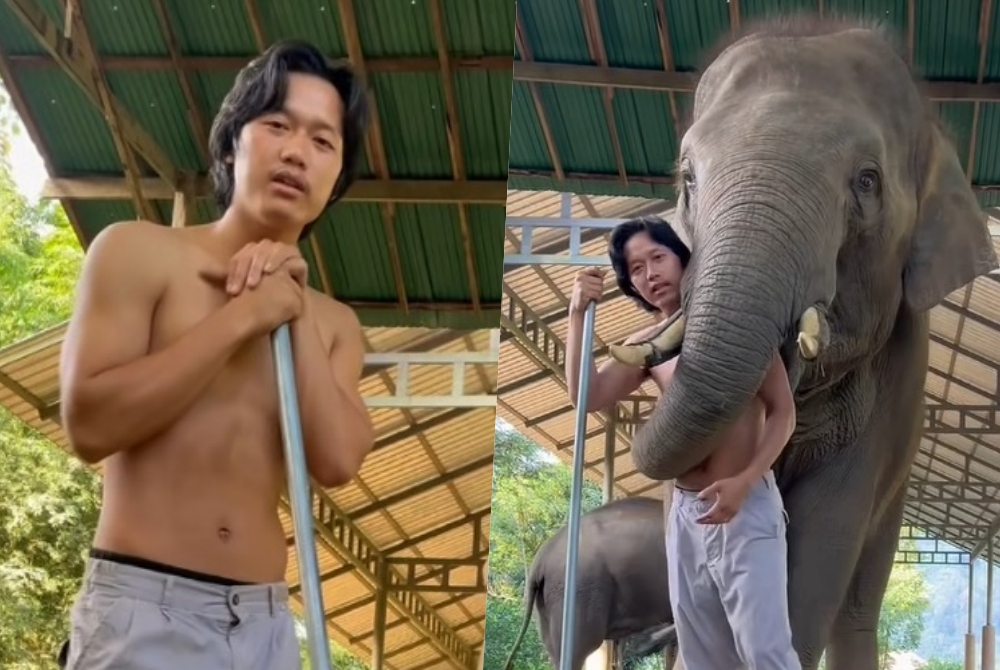 "ควาญช้าง" ตัดพ้อปางเลี้ยงช้างสุดโต่ง ลั่นถึงใช้ตะขอก็พาช้างหนีน้ำได้