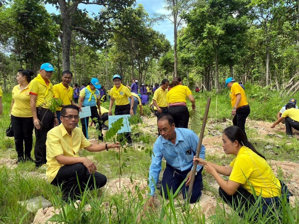 อบต.ดงมะไฟ จัดกิจกรรมท้องถิ่นอาสา ปลูกป่าเฉลิมพระเกียรติฯ