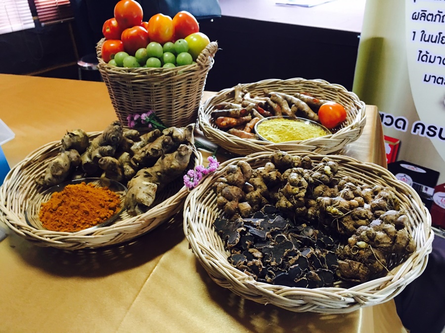 พาณิชย์ นำต่างชาติชมโรงงานสมุนไพรชั้นนำ พร้อมปั้นผลิตภัณฑ์ใบบัวบก-ขมิ้นชัน-ไพล-กระชายดำ ป้อนตลาดโลก