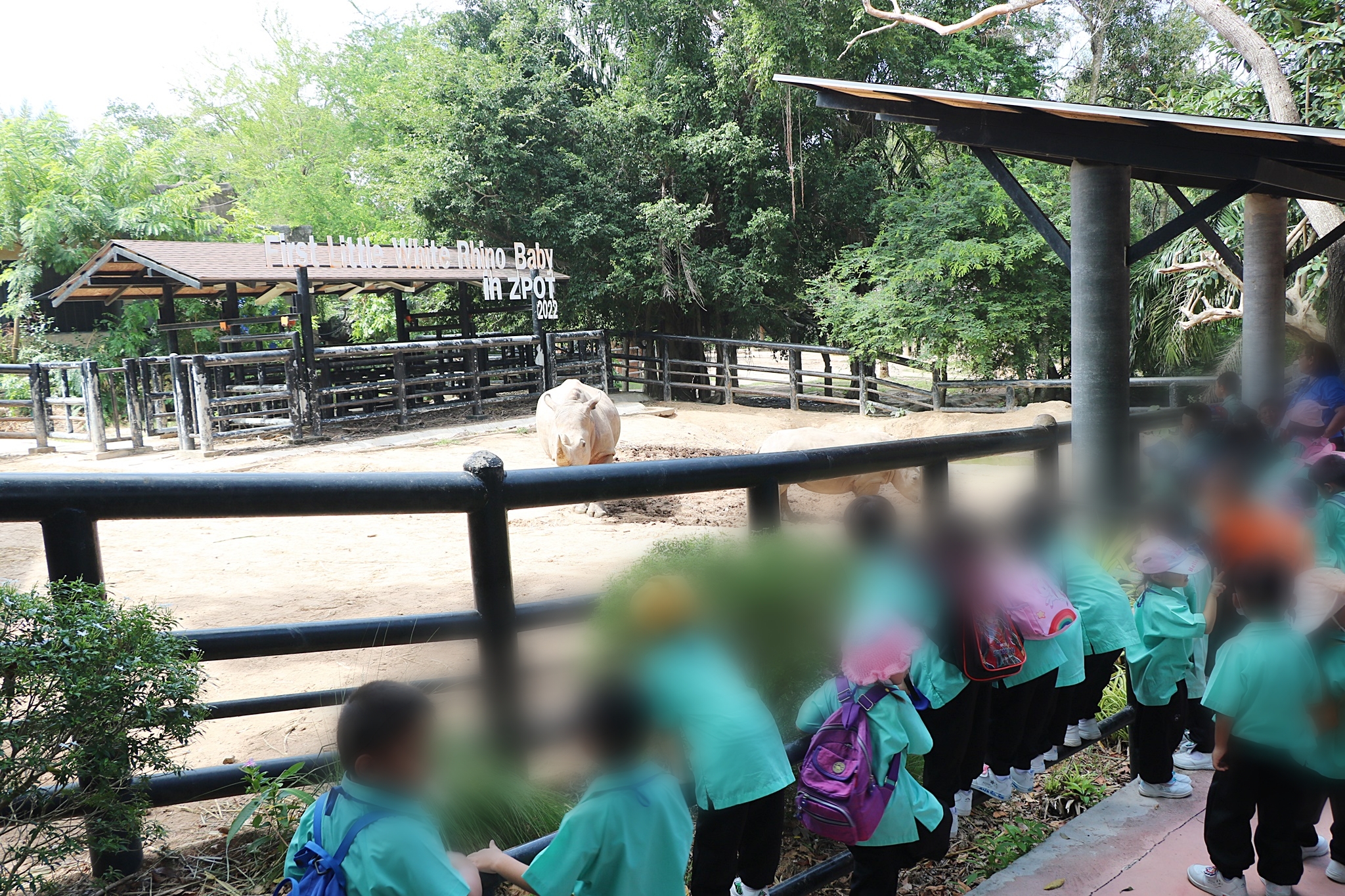 เทศบาลตำบลทับมา นำเด็กนักเรียนโรงเรียนอนุบาลทับมา 349 คน ทัศนศึกษาสวนสัตว์เปิดเขาเขียว 