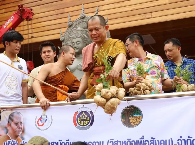 พระวชิรญาณวิศิษฏ์ รับซื้อมันแกว 20 ตัน แจกญาติโยมที่มาทำบุญ