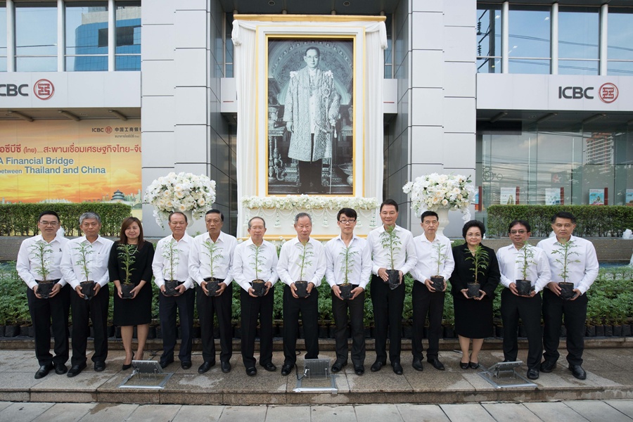 กรุงเทพประกันภัยร่วมใจปลูกดอกดาวเรือง