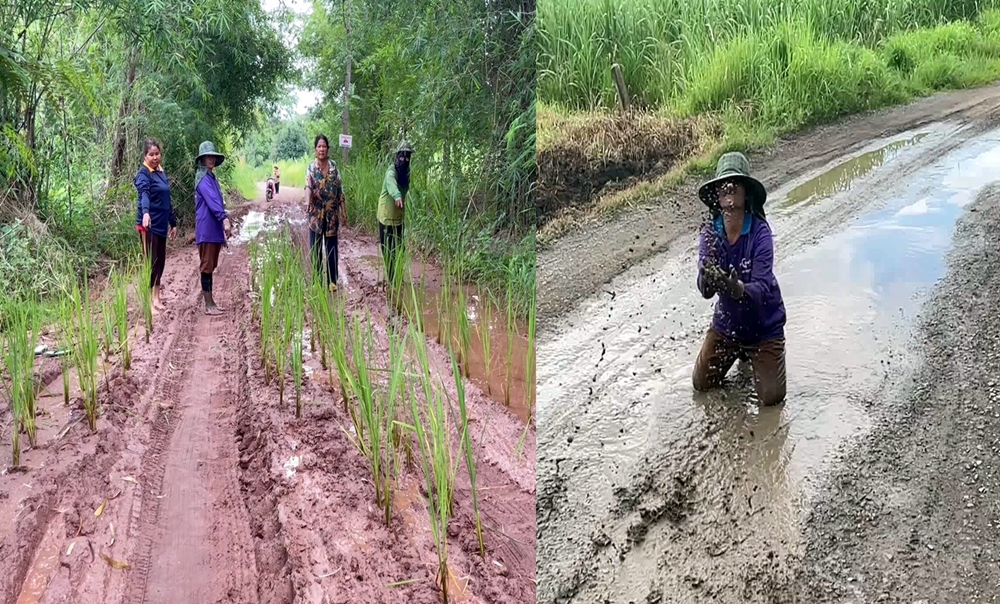ชาวบ้านริมพองพัฒนา ประชดอาบน้ำ-ดำนา กลางถนนที่เป็นหลุมเป็นบ่อ 