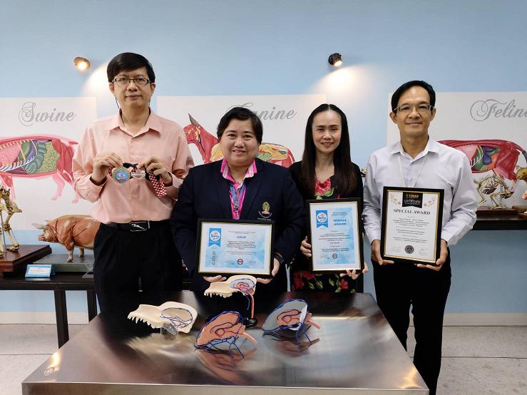 สัตวแพทย์จุฬาฯคว้าเหรียญทองนวัตกรรมนานาชาติ ชุดหุ่นจำลอง 3 มิติเยื่อหุ้มสมอง-โครงหลอดเลือดสมองสุนัข