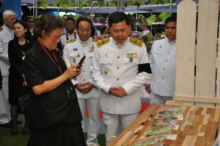 สมเด็จพระเทพฯ เสด็จฯทรงเปิดงานสีสรรพรรณไม้ฯ และทอดพระเนตร ผลิตภัณฑ์ OTOP อาหารจากป่าชุมชนหนองอึ่ง ด้วยวิถีสหกรณ์ 