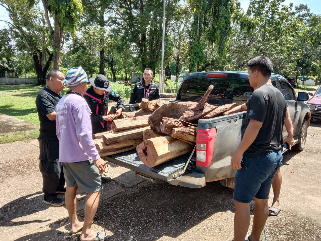 ทหารกองกำลังสุรศักดิ์มนตรี ตรวจยึดไม้พะยูงจำนวนกว่า 100 ท่อน ซุกไว้ในป่ายูคาลิปตัส