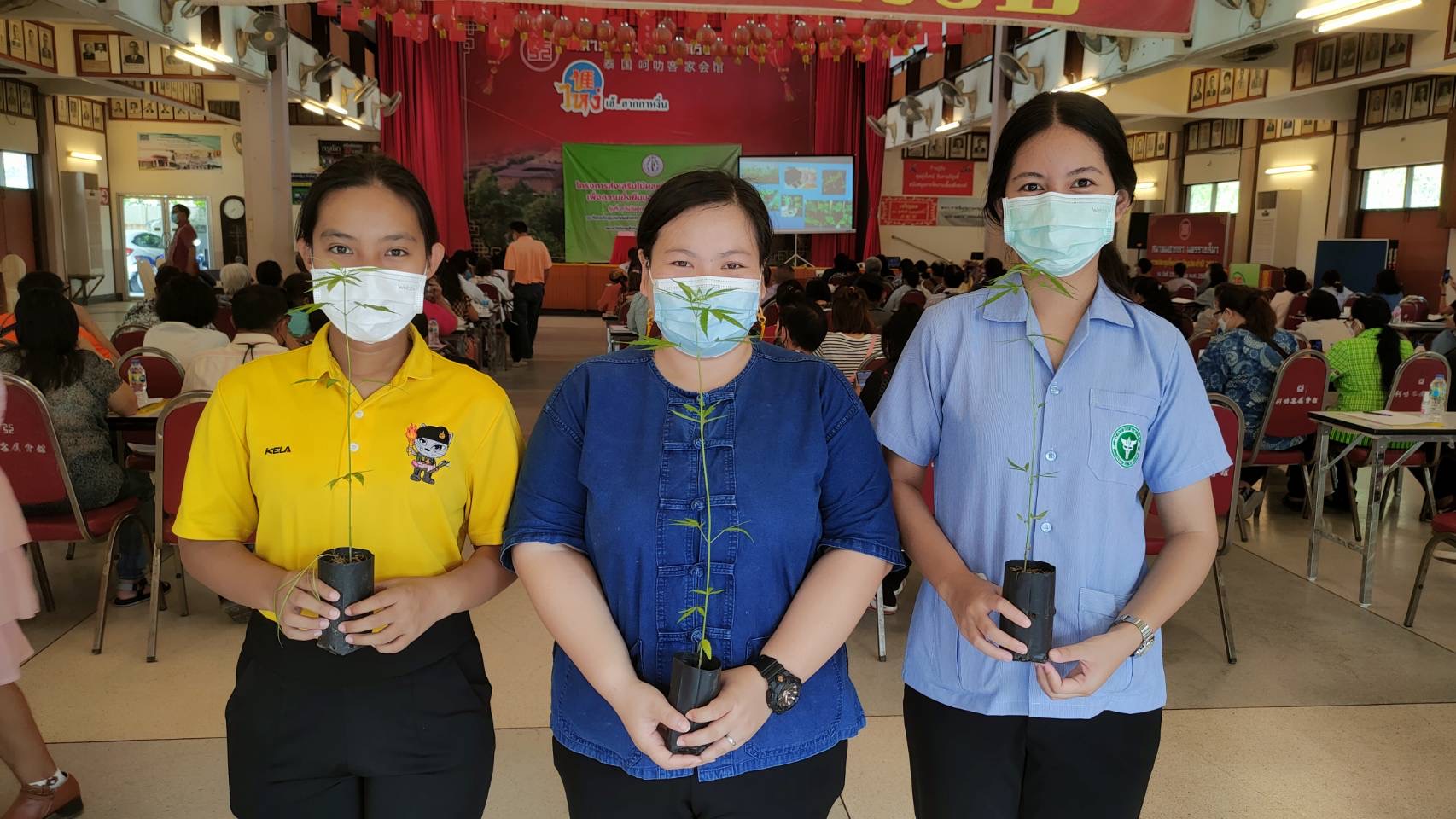 ชาวโคราชไม่หวั่นถอด กม.กัญชา แห่ร่วมรับความรู้พืชเศรษฐกิจใหม่