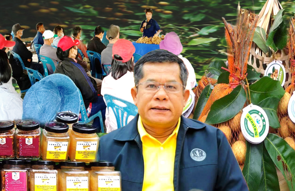 แปลงใหญ่ลำไยหนองตอง ต้นแบบไม้ผลครบวงจร ผลิต-ขายลำไยคุณภาพได้ราคาดี