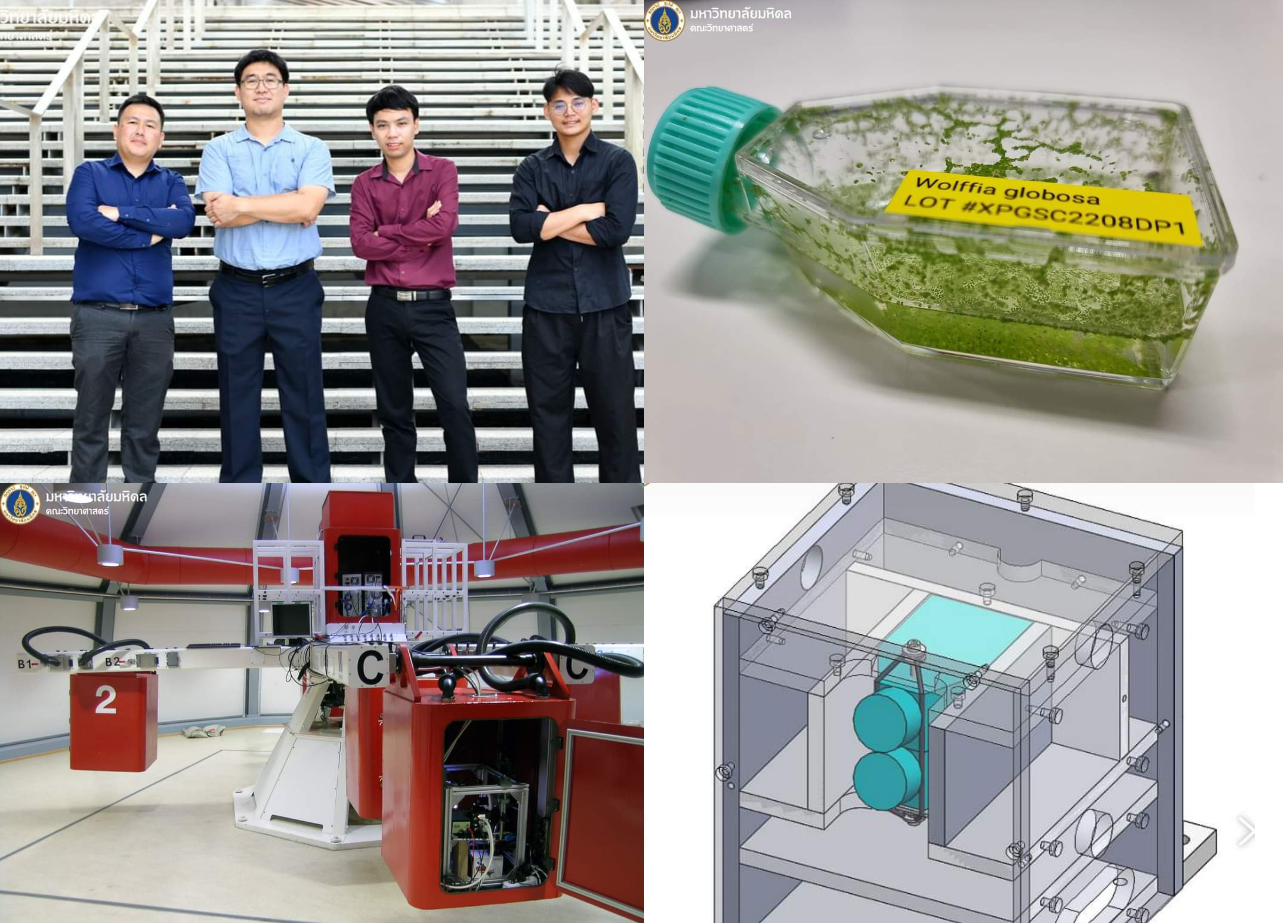 นักวิจัยคณะวิทย์ ม.มหิดล – สวทช. เตรียมบินลัดฟ้าทดสอบการตอบสนอง ‘ไข่น้ำ’ พืชดอกจิ๋วที่สุดในโลกในสภาวะแรงโน้มถ่วงสูง 