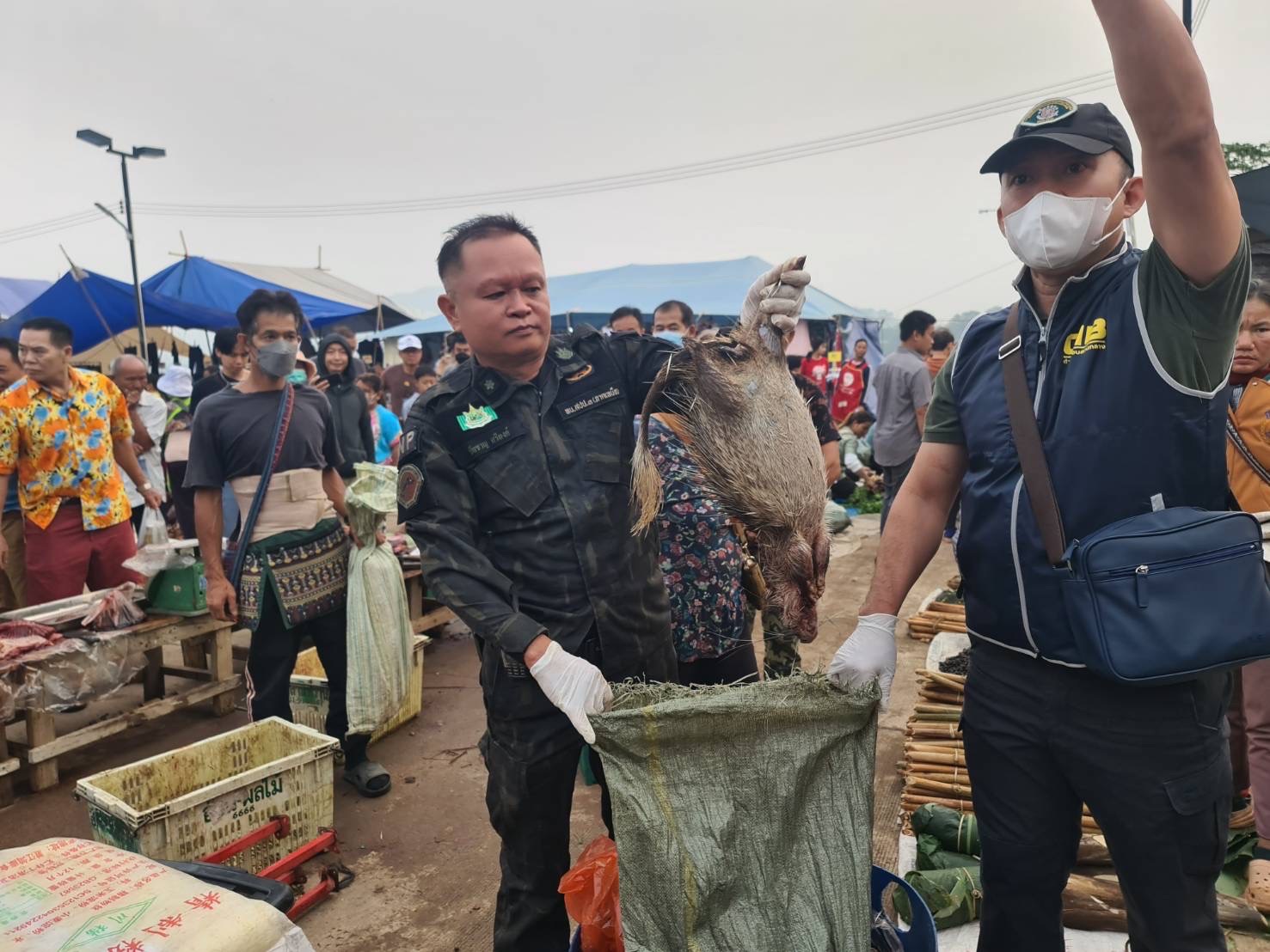 เชียงราย จับชาวลาว 4 คน ชำแหละสัตว์ป่าคุ้มครองขายตลาดชายแดนเวียงแก่น ตรวจยึดซากสัตว์ป่าคุ้มครองจำนวนมาก