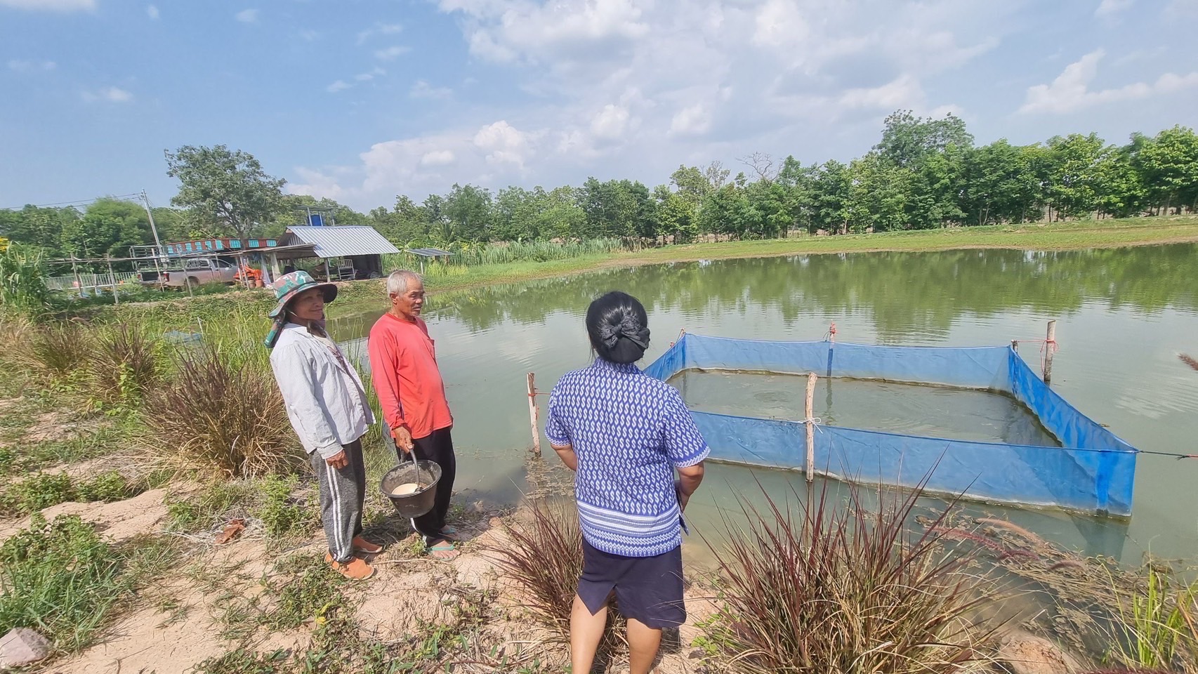 ประมงเมืองช้าง ส่งเสริมการเลี้ยงปลาตะเพียน มีความต้องการของตลาดจำนวนมาก สร้างรายได้ให้ชาวบ้าน
