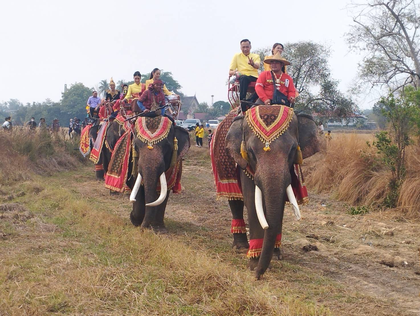 ผู้ว่าฯยโสธร นั่งช้างร่วมขบวนแห่พระเวสสันดรเข้าเมือง ในโอกาสบุญผะเหวด วัดบูรพารามทุ่งแต้