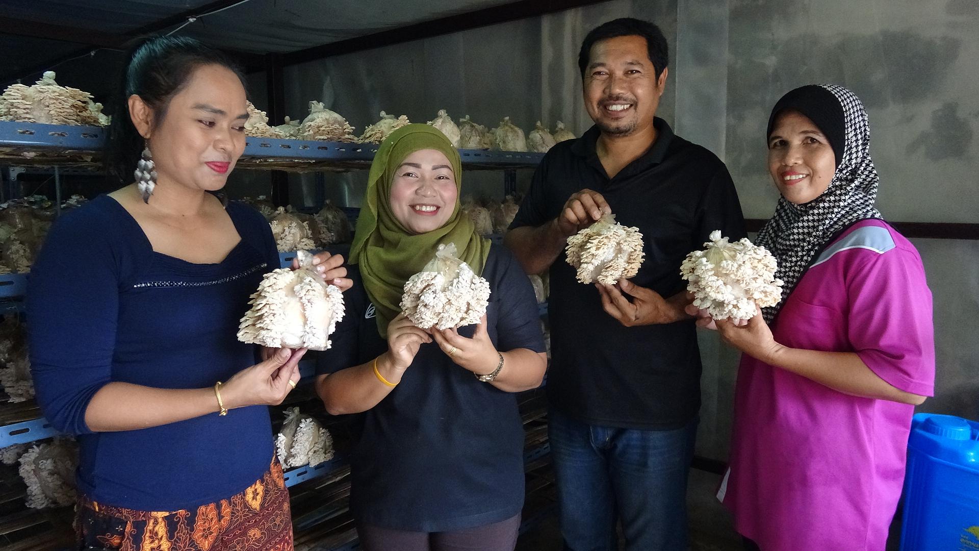 เพาะเห็ดแครงอินทรีย์ กินได้ตลอดทั้งปี เตรียมเปิดตลาดจีน กลุ่มคนรักษ์สุขภาพ