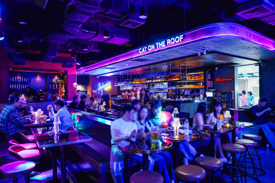 CAT ON THE ROOF สาขาเดียวในกรุงเทพ เปิดที่ MBK Center จุดเช็กอินใหม่สายแฮงค์เอาท์ อาหาร–เครื่องดื่ม–ดนตรีครบ