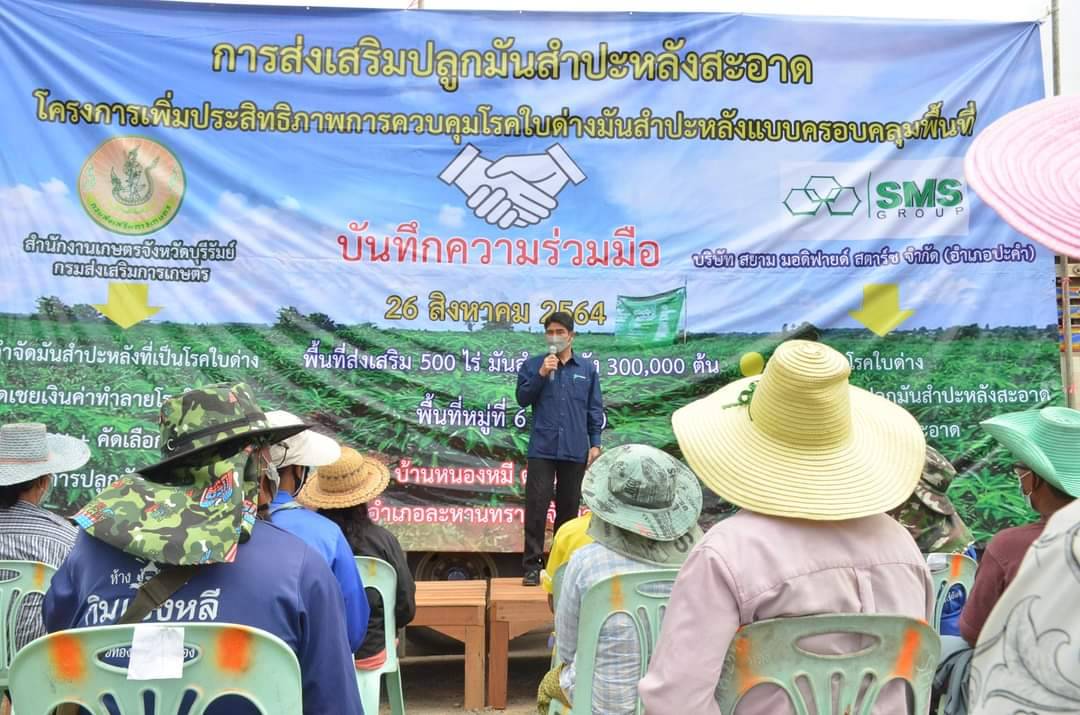 “เกษตรบุรีรัมย์-โรงแป้ง” แจกท่อนพันธุ์มันคุณภาพดี 3 แสนต้น ให้เกษตรกร สกัดโรคใบด่างระบาด