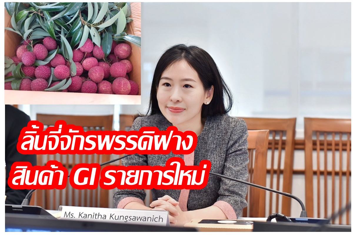 “ลิ้นจี่จักรพรรดิฝาง” สินค้า GI รายการใหม่ ผลใหญ่ เนื้อหนาสีขาวขุ่น ฉ่ำน้ำ กลิ่นหอม พืชเศรษฐกิจสำคัญของเชียงใหม่