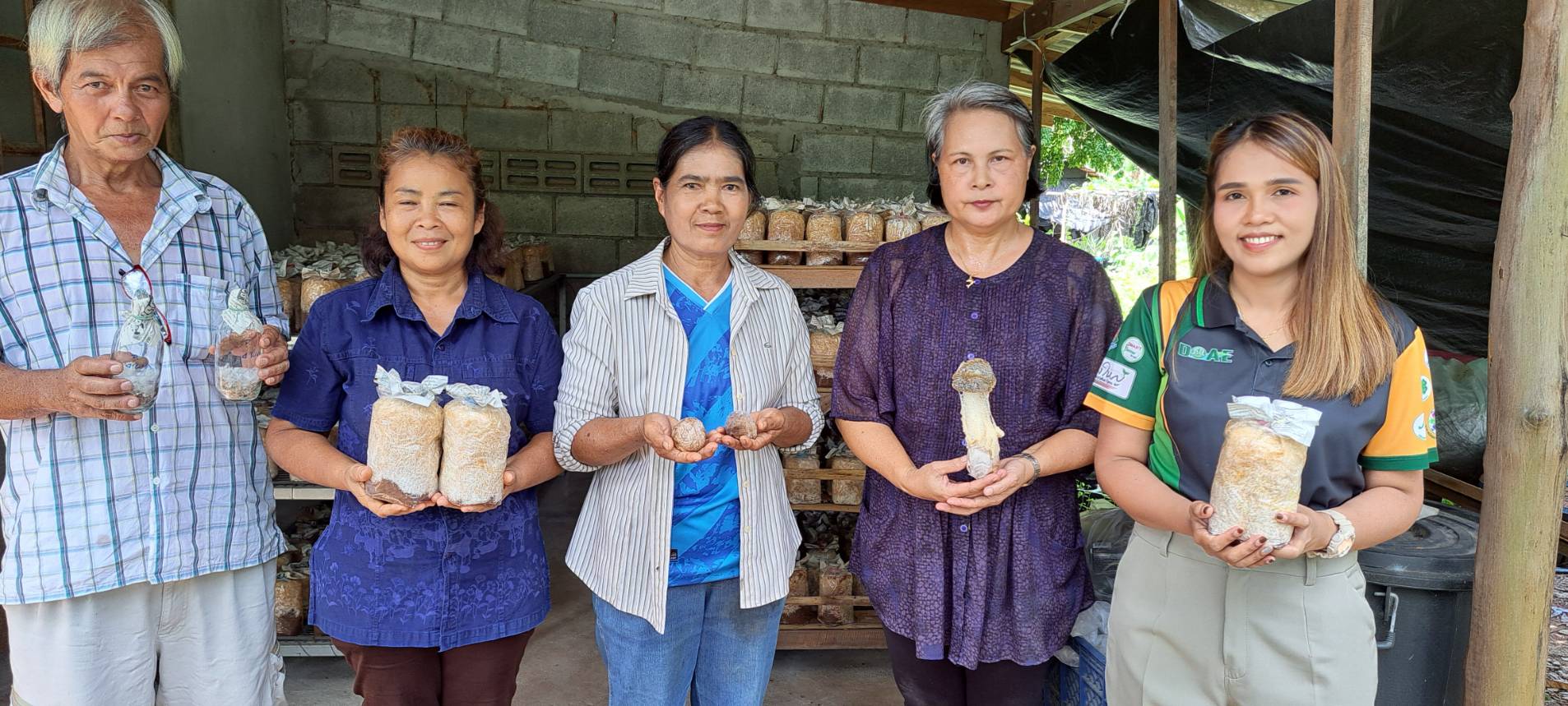 เกษตรจังหวัดกระบี่ ส่งเสริมการเพาะเห็ดร่างแหให้แก่เกษตรกร เพิ่มรายได้ พึ่งพาตนเองได้ 