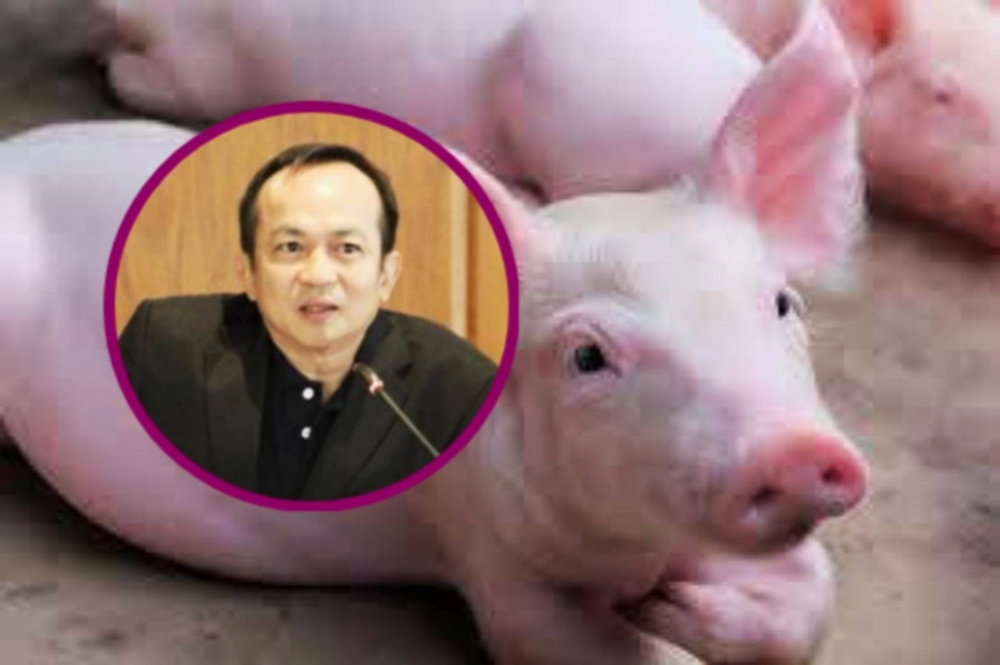 คนเลี้ยงหมู แค่พอลืมตาอ้าปาก หวังกลไกตลาดทำงานเสรี 