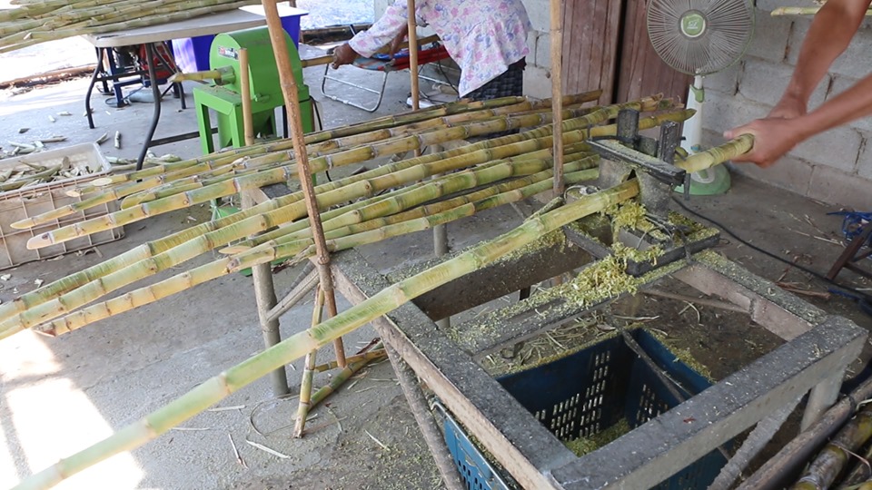 ต้นแบบเกษตรยุคใหม่!  ขอนแก่นโชว์นวัตรกรรมอ้อยคั้นน้ำ-ผักปลอดสารพิษ 