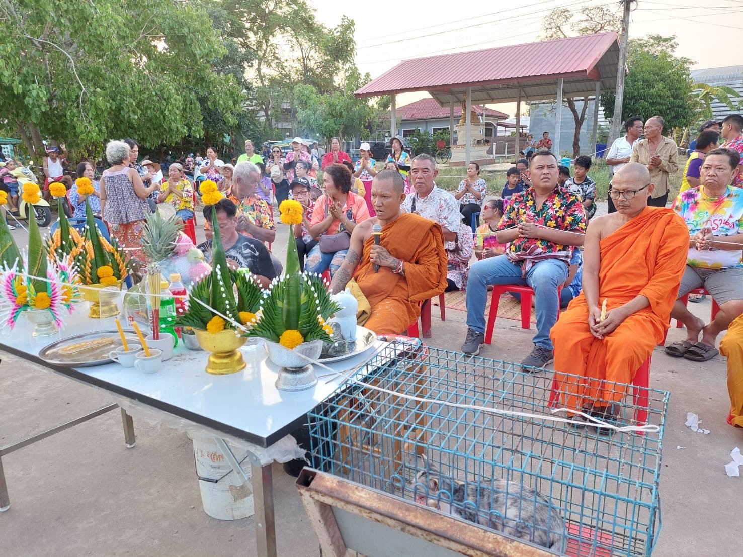 ชัยภูมิร้อนจัดจนชาวบ้านทำพิธีแห่นางแมวขอฝนสู้ภัยแล้ง