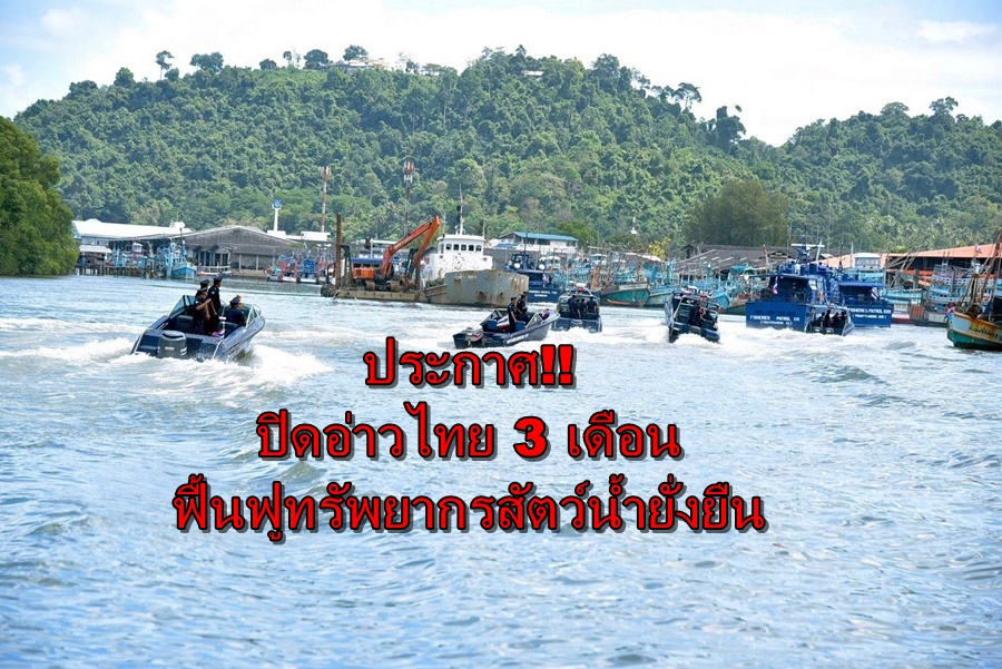 ประกาศ!! ปิดอ่าวไทย 3 เดือน ฟื้นฟูทรัพยากรสัตว์น้ำยั่งยืน