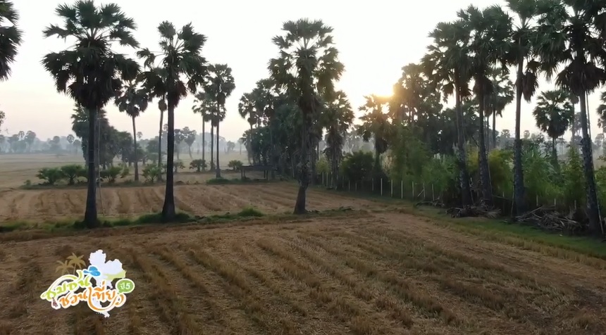 ชุมชนชวนเที่ยว  ปีที่ 5 พาเที่ยว  ชุมชนบ้านไร่กร่าง อ.บ้านลาด  จ.เพชรบุรี 