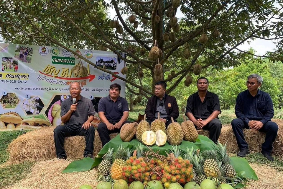 ทองผาภูมิเตรียมจัดงาน “เชิญ ชิม ช็อป ทุเรียนคุณภาพ” ครั้งที่ 5 เปิดประมูลลุ้นราคาสูง 5 หมื่นบาท
