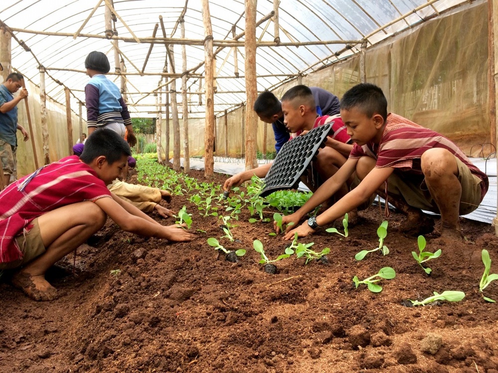 ถอดรหัสบ้านแม่วาก จัดการน้ำทำการเกษตรบนพื้นที่สูง